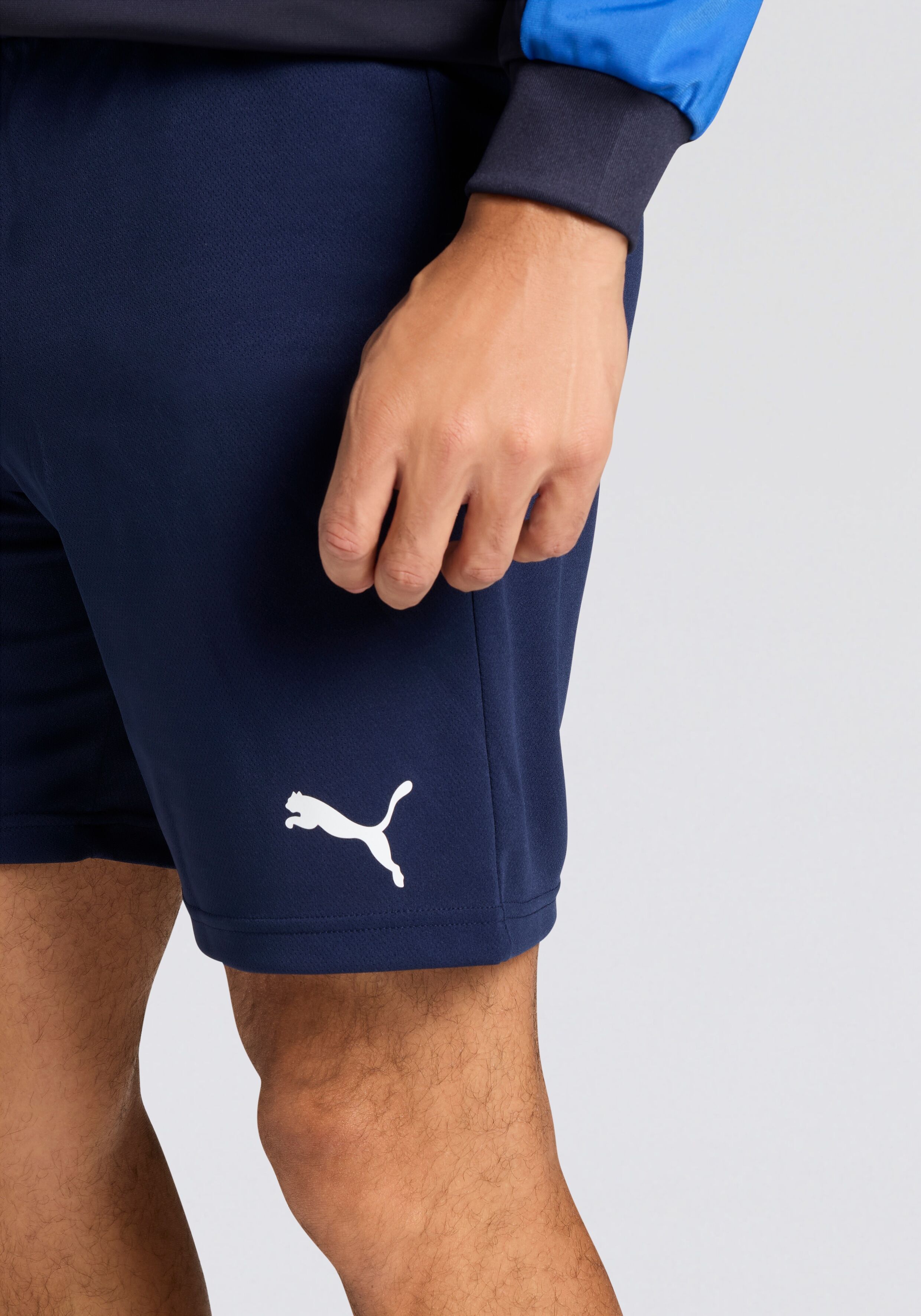 Trainingsshorts PUMA "TEAMRISE SHORT", Damen, Gr. M, N-Gr, blau (peacoat, puma weiß), Netz, Obermaterial: 100% Polyester, unifarben, regular fit normal, Hosen Trainingsshorts, atmungsaktives Material, mit DryCELL Technologie, elastischer Bund peacoat, pum