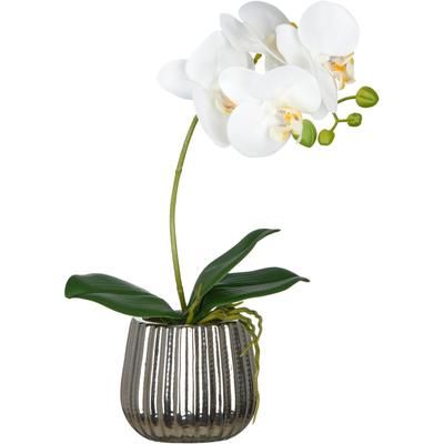Kunstorchidee CREATIV GREEN "Phalaenopsis", weiß, H:36cm, Kunststoff, Kunstpflanzen, mit Real-Touch-Blüten