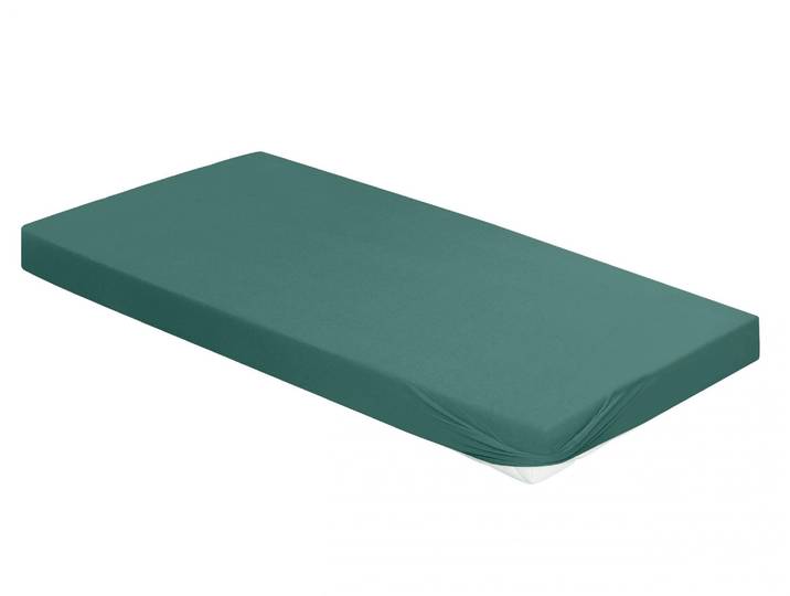 Spannbettlaken IRISETTE Kuschel Jersey Spannbettlaken Vesuv , grün, L:200cm, Jersey, Obermaterial: 100% Baumwolle, Bettlaken, Spannbettlaken, mit Rundumgummizug