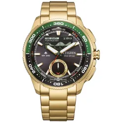 Citizen JV3002-51E Promaster Eco-Drive Solaruhr Wave Tracker Goldfarben