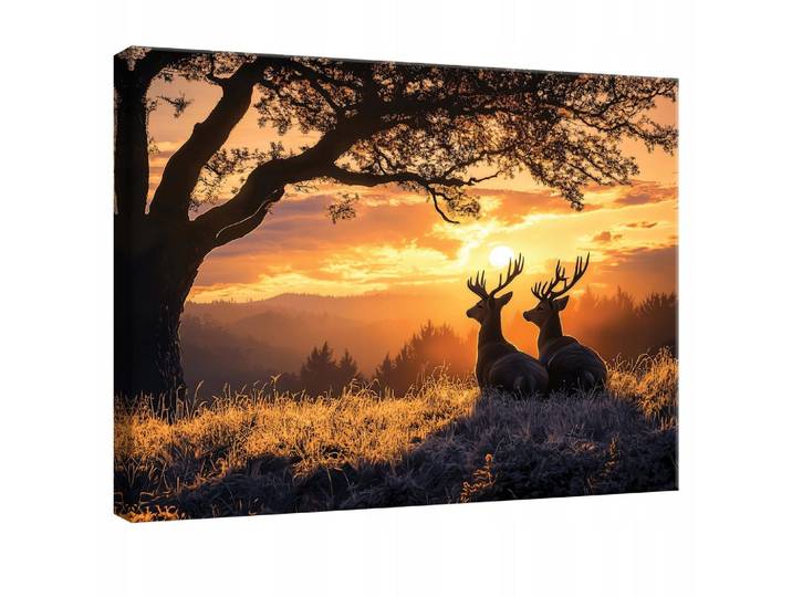WANDBILD Hirsch Wald Natur Modern 60x40