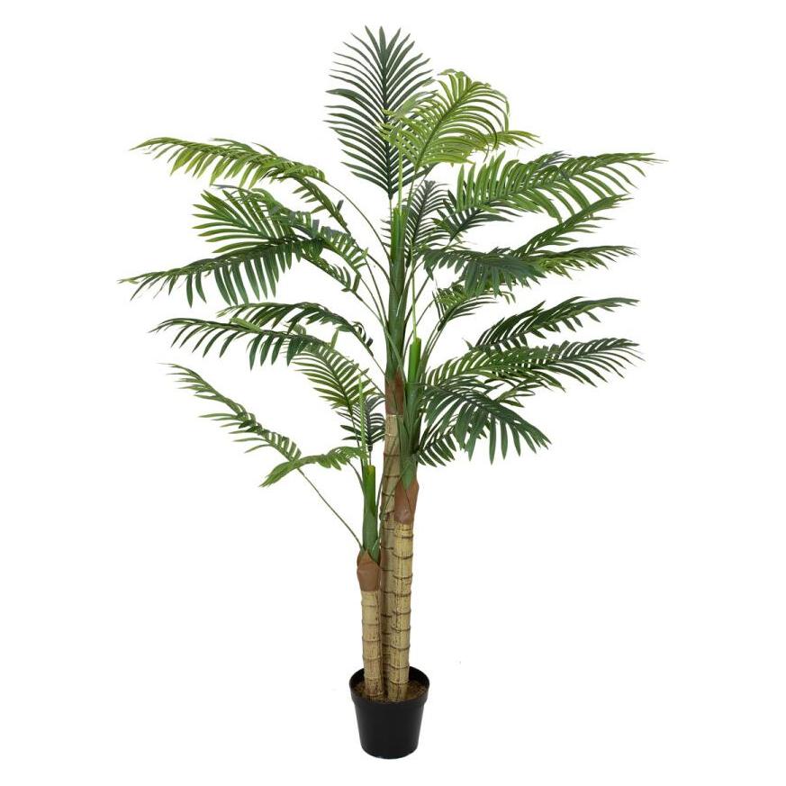 Europalms Areca Palme (150 cm) (82509411)