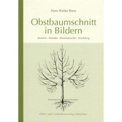 Obstbaumschnitt in Bildern, Taschenbuch von Hans W. Riess, Obst- und Gartenbauverlag des Bayerischen Landesverbandes für Gartenbau und Landespflege