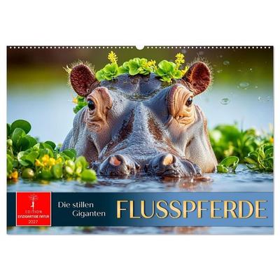 Flusspferde - die stillen Giganten (Wandkalender 2027 DIN A2 quer), CALVENDO Monatskalender
