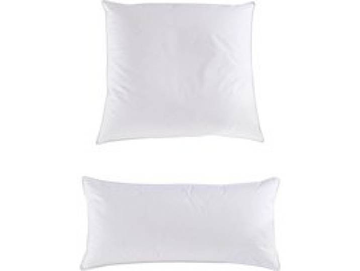 HÄUSSLING Oreiller plumes et duvet Premium