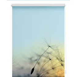 Lichtblick Rollo Klemmfix, ohne Bohren, Verdunkelung, Pusteblume - Blau