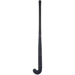 The Indian Maharadja, Eishockeystock, (Rechts)
