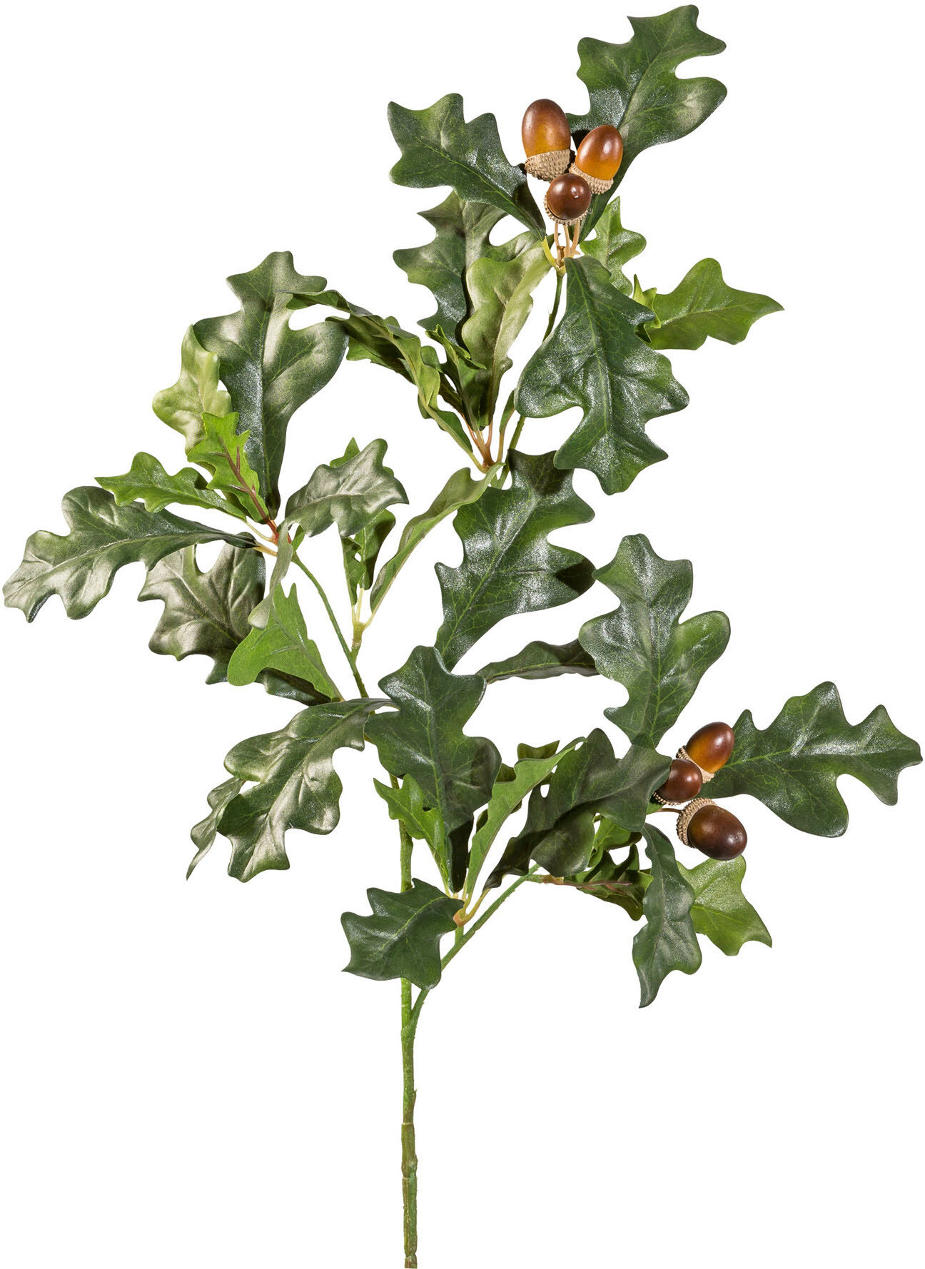 Kunstzweig CREATIV GREEN "Eichenzweig", grün, H:70cm, Obermaterial: 70% Polyester, 30% Polyethylen, Kunstpflanzen, Kunstzweig