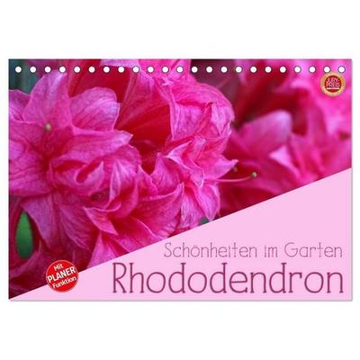 Rhododendron Schönheiten im Garten (Tischkalender 2027 DIN A5 quer), CALVENDO Monatskalender