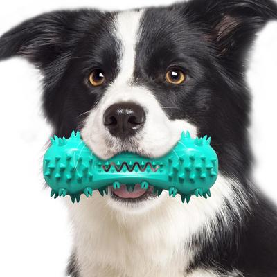Inspired Deals Interactive Dog Chew Toy Dental Cleaning Bone For Aggressive Chewers With Squeaker lake Blue