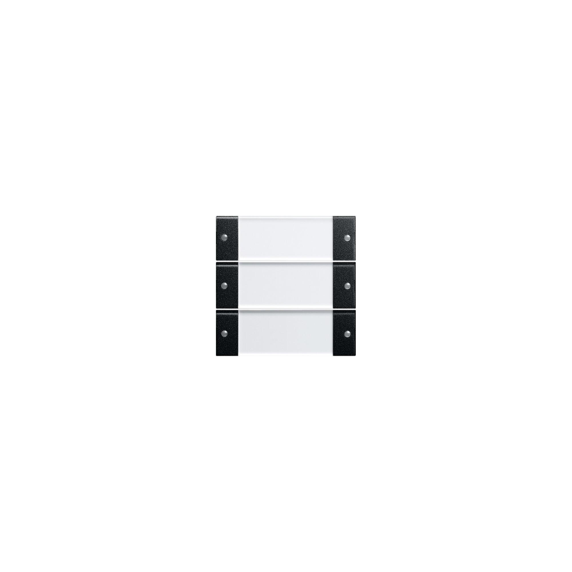 Gira Wippenset 3f. BSF schwarz matt/klar 2133005)
