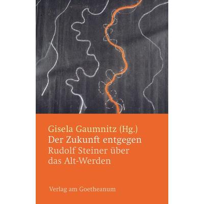 Der Zukunft entgegen, Taschenbuch von Gisela Gaumnitz, Verlag am Goetheanum, 978-3-7235-1611-9