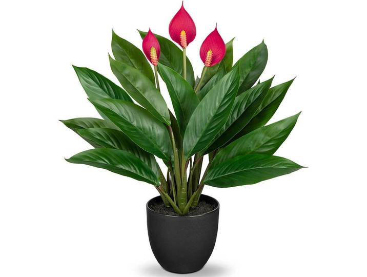 Kunstpflanze Calathea 43 cm Grün, Kunststoff, 36 cm, Dekoration, Blumen & Blumentöpfe, Kunstblumen