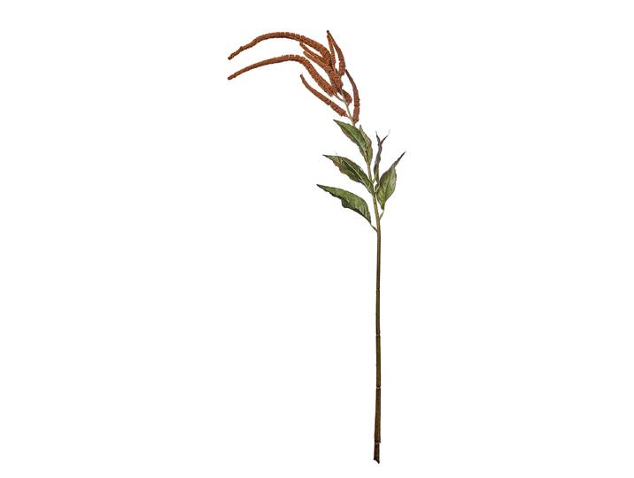 Kunstblume FLORISTA Millet/Hirse 15 x 110 x 15cm Braun