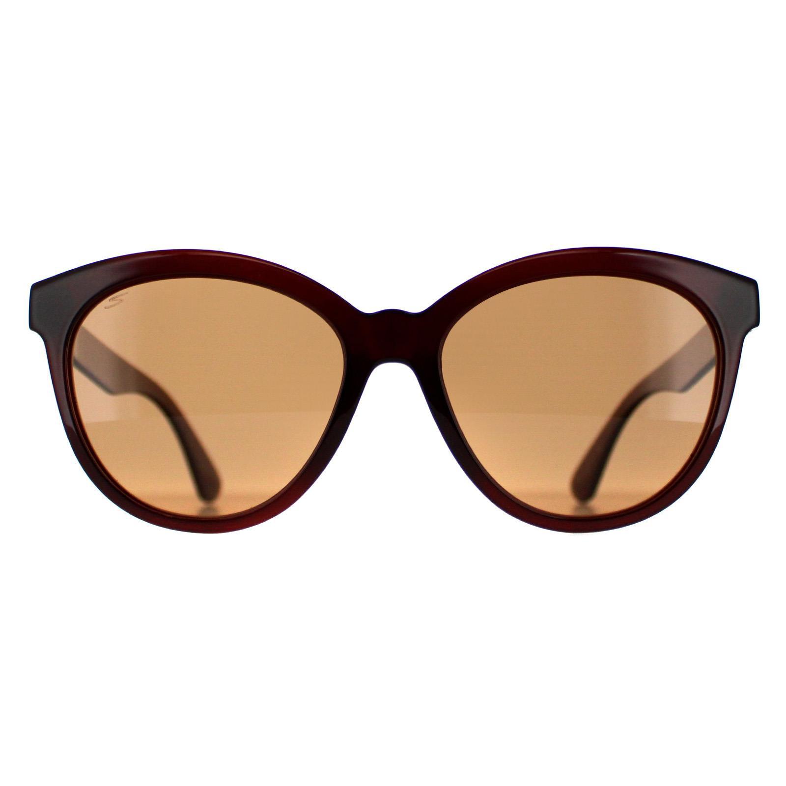 Serengeti Endee SS573002 glanzend bruin saturnus gepolariseerde bestuurders zonnebril