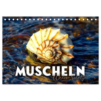 Muscheln - Wahre Schätze (Tischkalender 2027 DIN A5 quer), CALVENDO Monatskalender