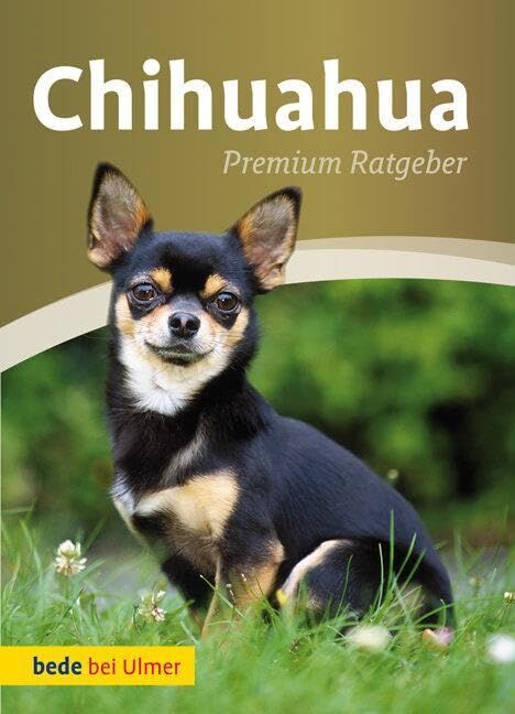 Annette Schmitt - Chihuahua - Preis vom 09.10.2026 07:28:09 h