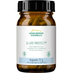B-Life Protect 120 ST