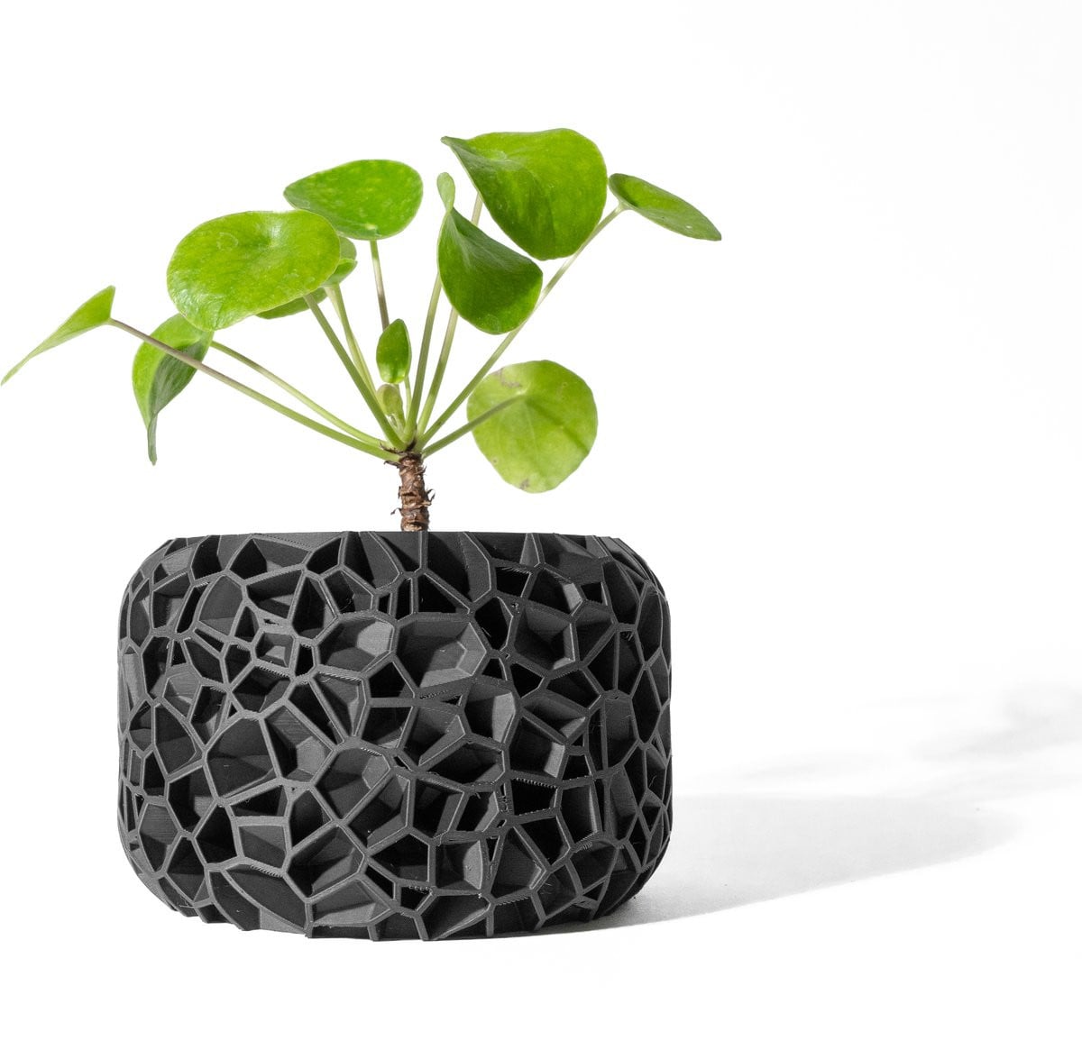 Skushy Vori Bloempot - Moderne Designpot voor Tafeldecoratie