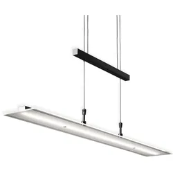 LED Pendelleuchte, schwarz, 1xLED-Platine/20W