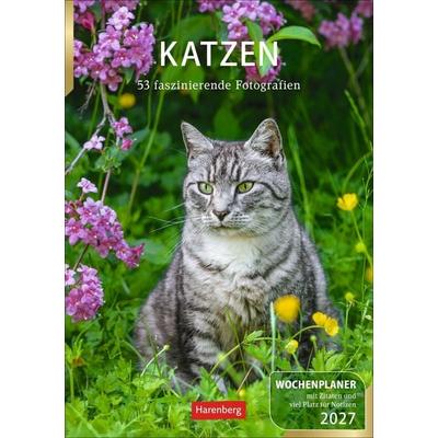 Katzen Wochenplaner 2027 - 53 faszinierende Fotografien