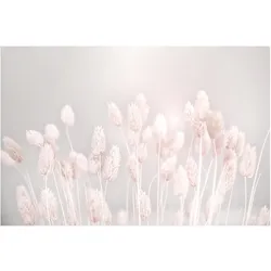 FOTOTAPETE Helles Gras im Sonnenlicht 336/225 cm