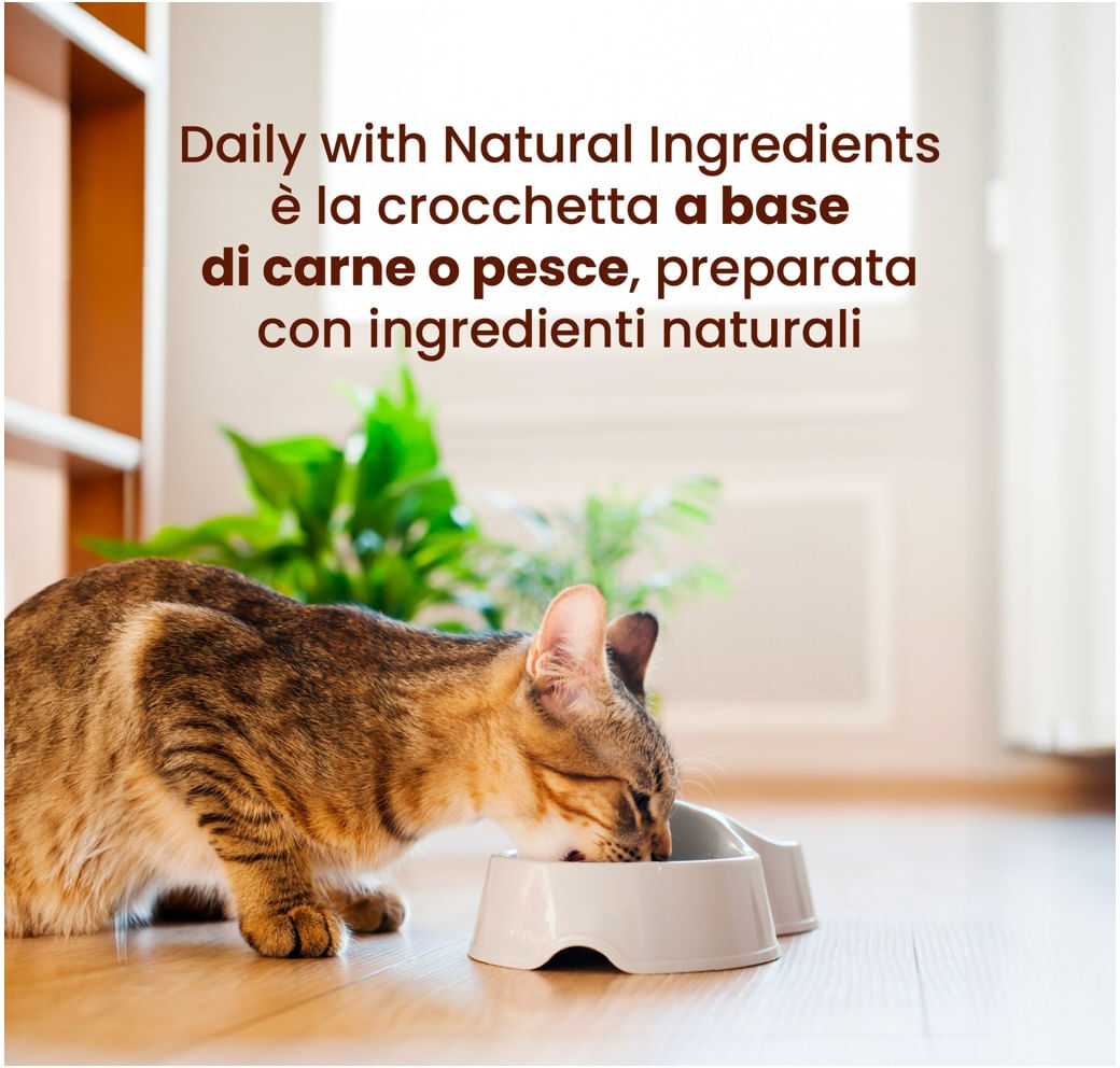 Almo Nature Cat Sterilised Daily Maintenance Pollo 1.2KG