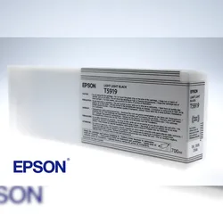 Epson Singlepack Light Light Black T591900
