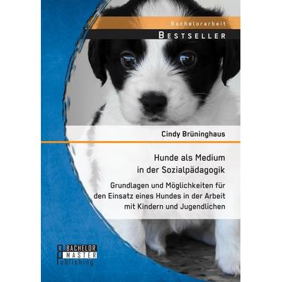 Hunde als Medium in der Sozialpädagogik: Grundlagen und Möglichkeiten für den Einsatz eines Hundes in der Arbeit mit Kindern und Jugendlichen,
