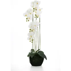 Fink, Kunstpflanzen, ORCHIDEE/Moosball,Phalaenopsis,weiss,H.110cm (110 cm)