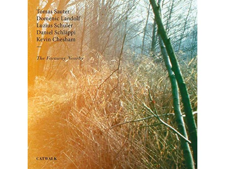 Sauter, Tomas & Landolf, Domenic & Schuler, Luzius - The Faraway Nearby