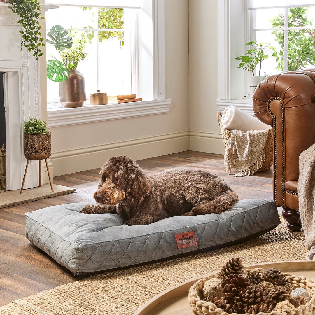 Slumberdown Paws for Slumber Raised Padded Dog Bed – Comfortable, Supportive & Durable Pet Bed for All Breeds Grey 20cm H x 120cm W x 90mc D