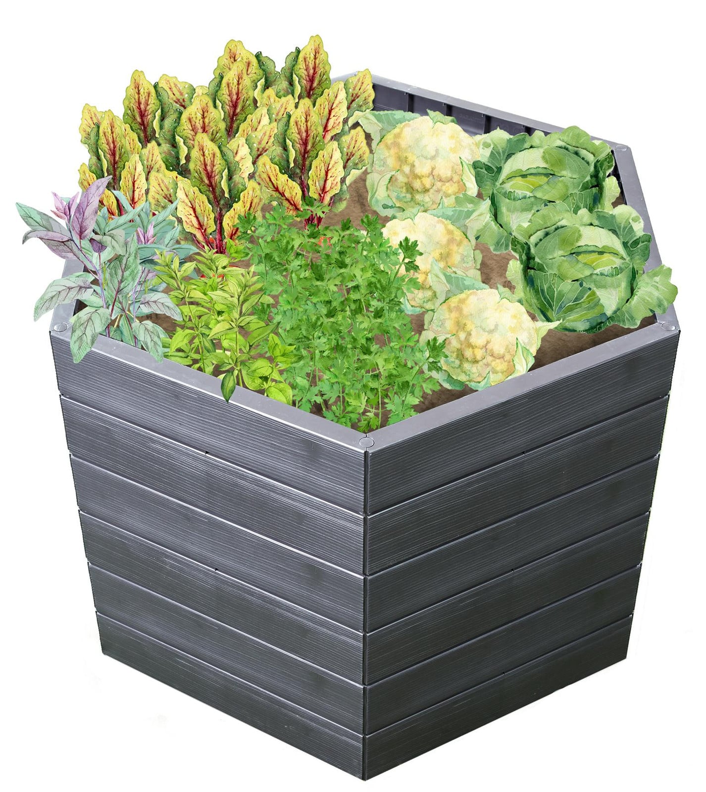 GARANTIA ERGO verhoogd tuinbed L 75 Wood inclusief FLORA waterbesparingssysteem van Graf