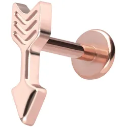 Titan Labret mit Push Fit PFEIL