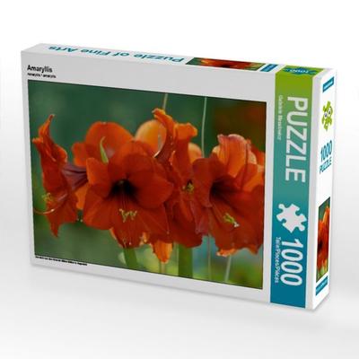 CALVENDO Puzzle Amaryllis | 1000 Teile Lege-Größe 64x48cm Foto-Puzzle für glückliche Stunden