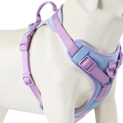 Uplift Essentials Luxury Chocolate No Pull Dog Harness Adjustable Personalized Comfort Strap blue xl