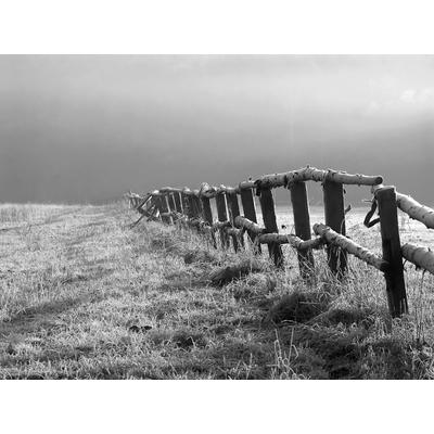 Fototapete PAPERMOON "Feld Schwarz & Weiß", schwarz (schwarz, weiß), B:5m L:2,8m, Vlies, Tapeten
