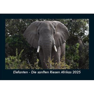 Elefanten - Die sanften Riesen Afrikas 2025 Fotokalender DIN A5