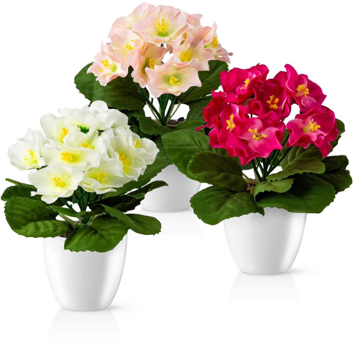 Merkloze Japanse Begonia in glanzende keramische pot - Set van 3
