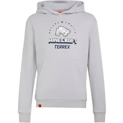 ADIDAS Kinder Kapuzensweat Minecraft Terrex, Größe 164 in Grau Grau