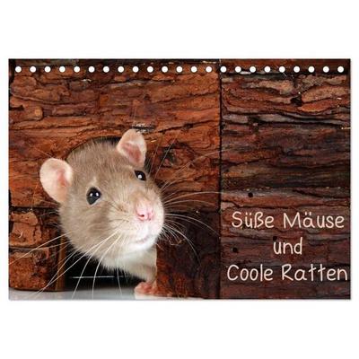 Süße Mäuse und Coole Ratten (Tischkalender 2027 DIN A5 quer), CALVENDO Monatskalender