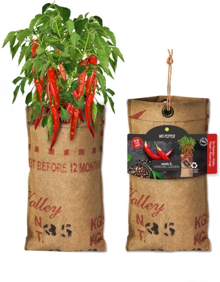 Baza Seeds hängender Garten Bio Cayennepfeffer