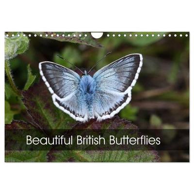 Beautiful British Butterflies (Wall Calendar 2027 DIN A4 landscape), CALVENDO 12 Month Wall Calendar