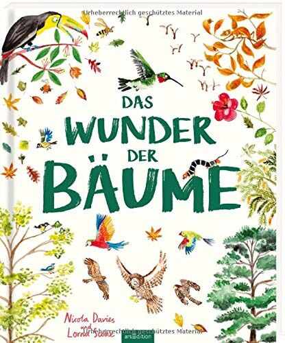 Nicola Davies - Das Wunder der Bäume - Preis vom 14.10.2026 23:07:16 h