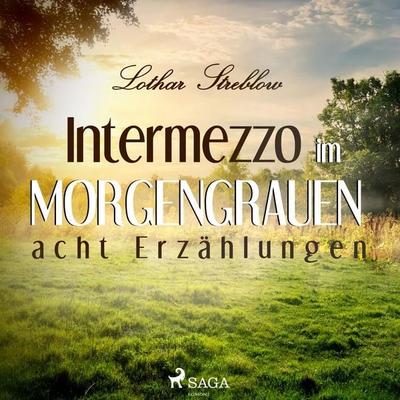 Intermezzo im Morgengrauen - Acht Erzählungen (Ungekürzt) - Lothar Streblow, Audio, 9788711755655