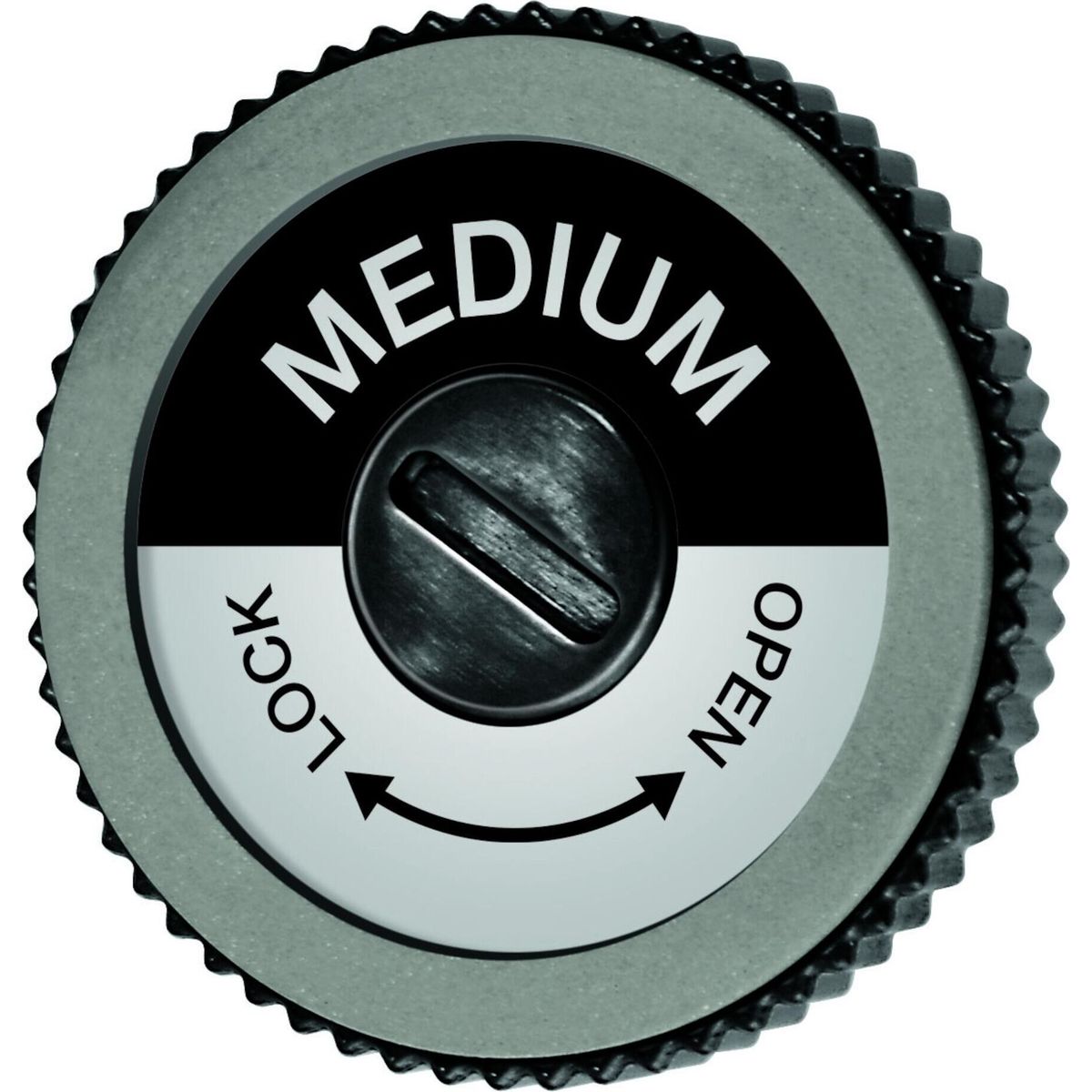 Swix TA3013M EVO Spare Disc Medium uni (00000)