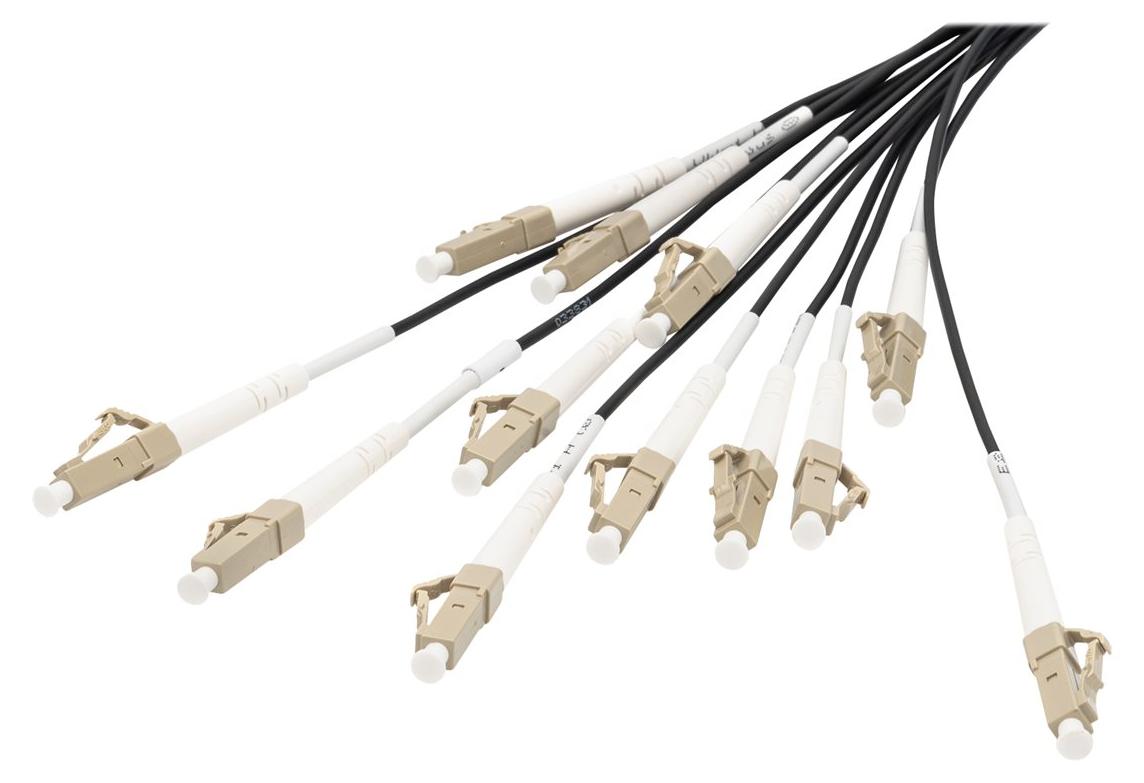 Digitus Vorkonfektionierte Glasfaser Universal Breakout Kabel, Multimode OM4, 12 Fasern, LC/UPC - LC/UPC, 100 m, U-DQ(ZN) BH, OM4, LC, LC