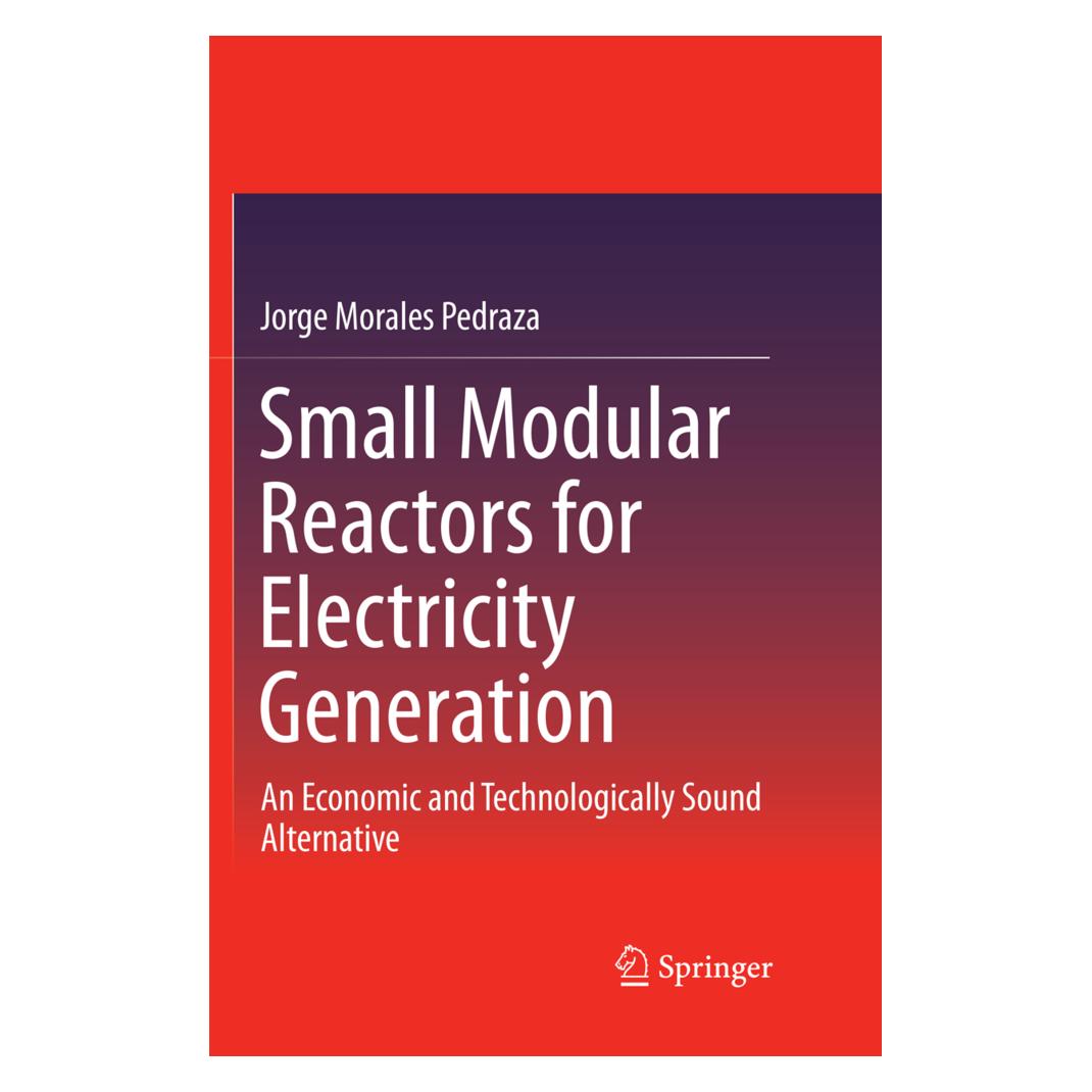 Springer Small Modular Reactors for Electricity Generation (Englisch, Softcover, Jorge Morales Pedraza) (56003474)