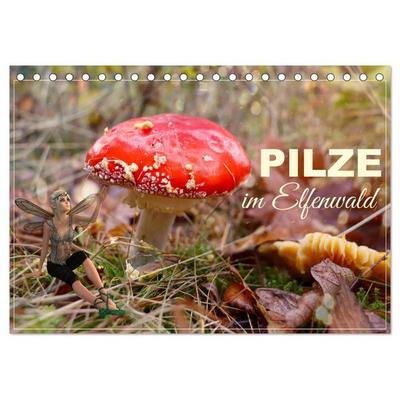 Pilze im Elfenwald (Tischkalender 2026 DIN A5 quer), CALVENDO Monatskalender