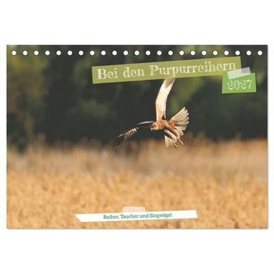 Bei den Purpurreihern (Tischkalender 2027 DIN A5 quer), CALVENDO Monatskalender